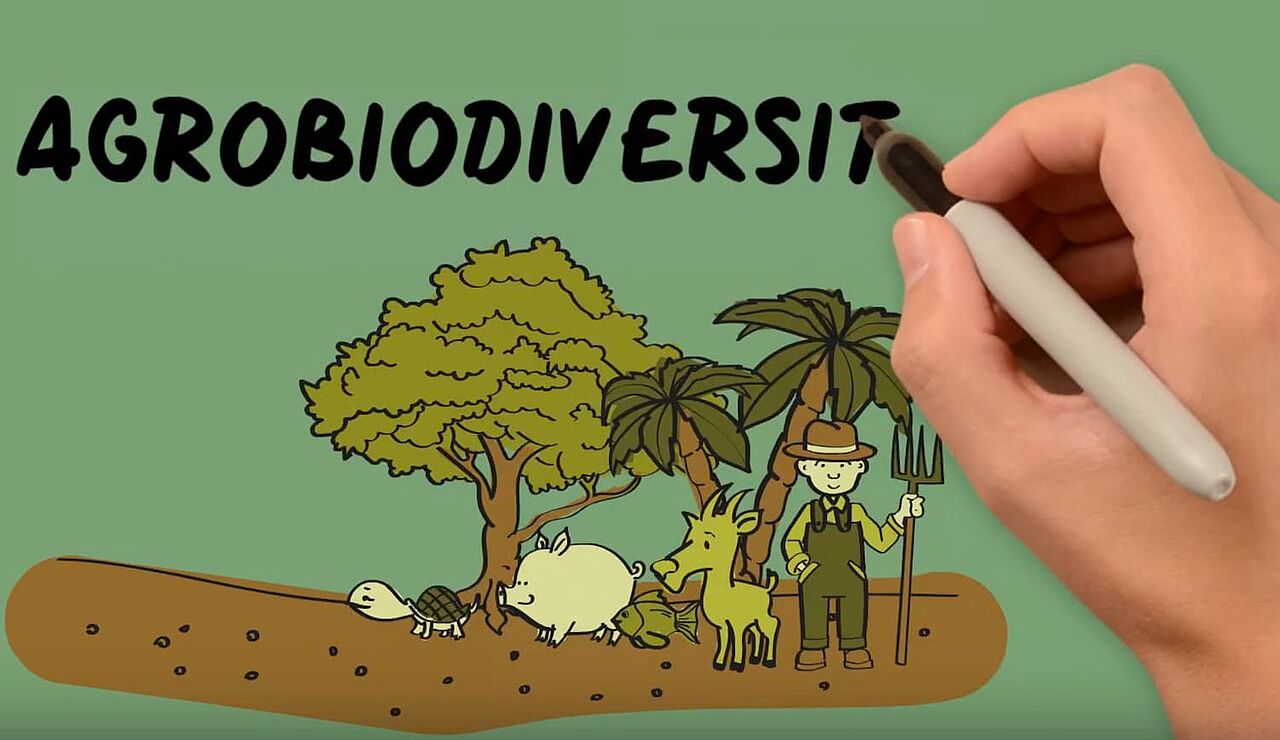Quelle: Dynaversity