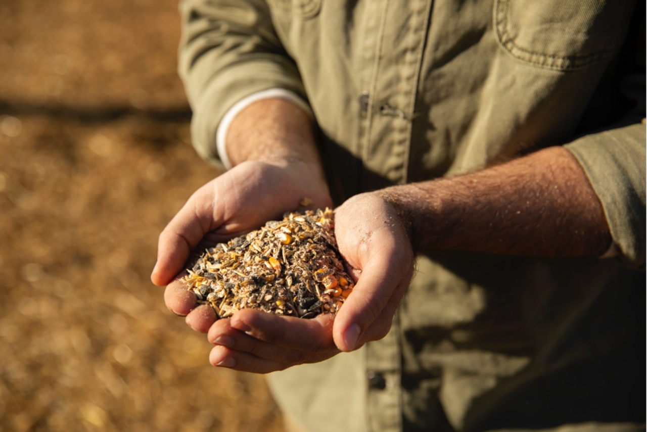 Saatgutpatente stehen im Mittelpunkt einer wichtigen Debatte über Biodiversität und Landwirtschaft. Bild: www.freepik.com