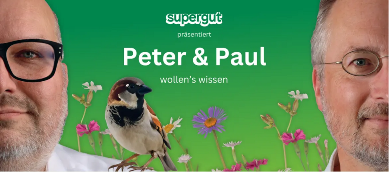 Peter und Paul moderieren eine Podcast-Reihe: Supergut. Bild: www.supergut.li
