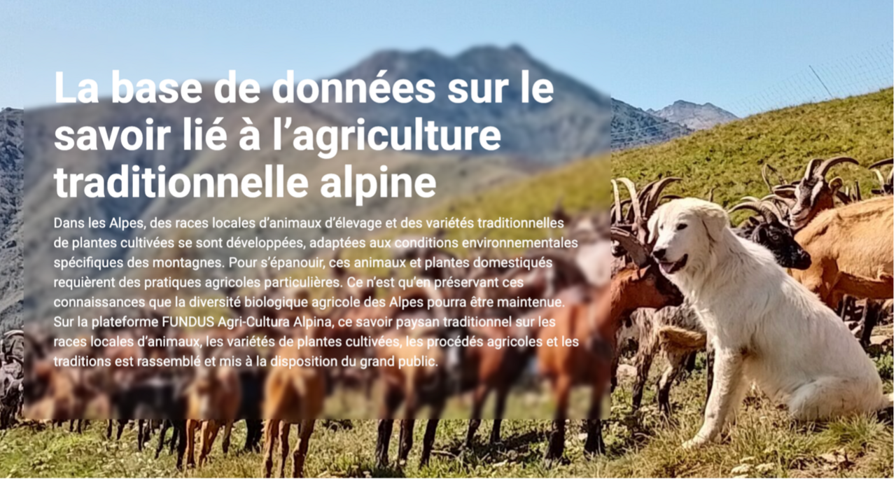 Fundus Agri-Cultura Alpina: Eine Datenbank über das Wissen zur traditionellen alpinen Landwirtschaft. Bild: www.fundus-agricultura.wiki