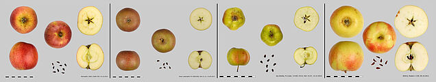 Quelle: agroscope.adminevents.ch