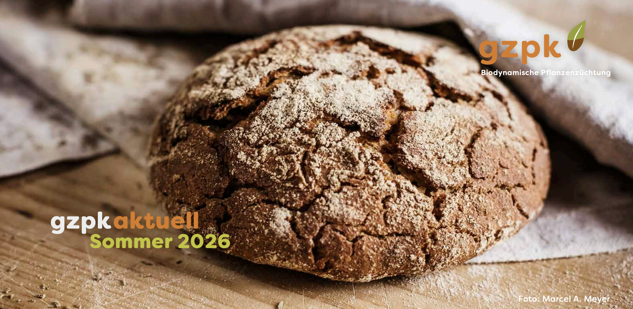 Die Titelseite der Sommerausgabe 2026 von «gzpk aktuell», in der unter anderem das Projekt «Korn zu Krume» vorgestellt wird. Foto: Marcel A. Meyer / gzpk.
